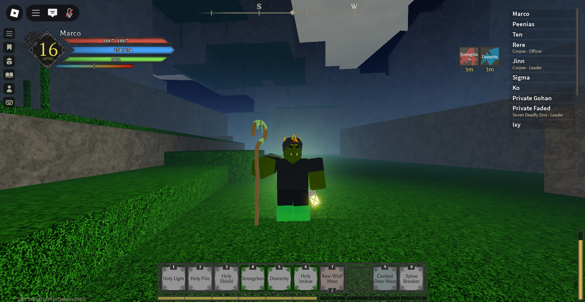Imagem 3 de porporpom